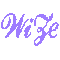 Logo for wize